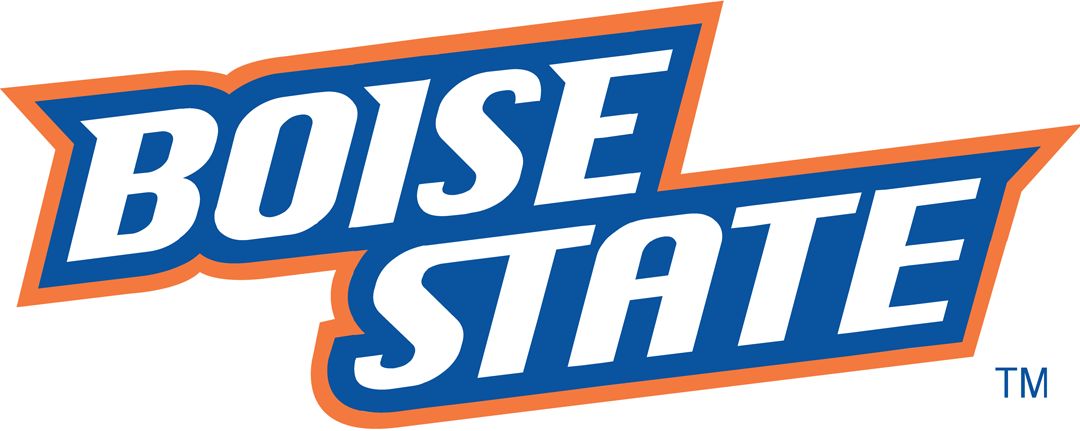 Boise State Broncos 2002-2012 Wordmark Logo v2 DIY iron on transfer (heat transfer)